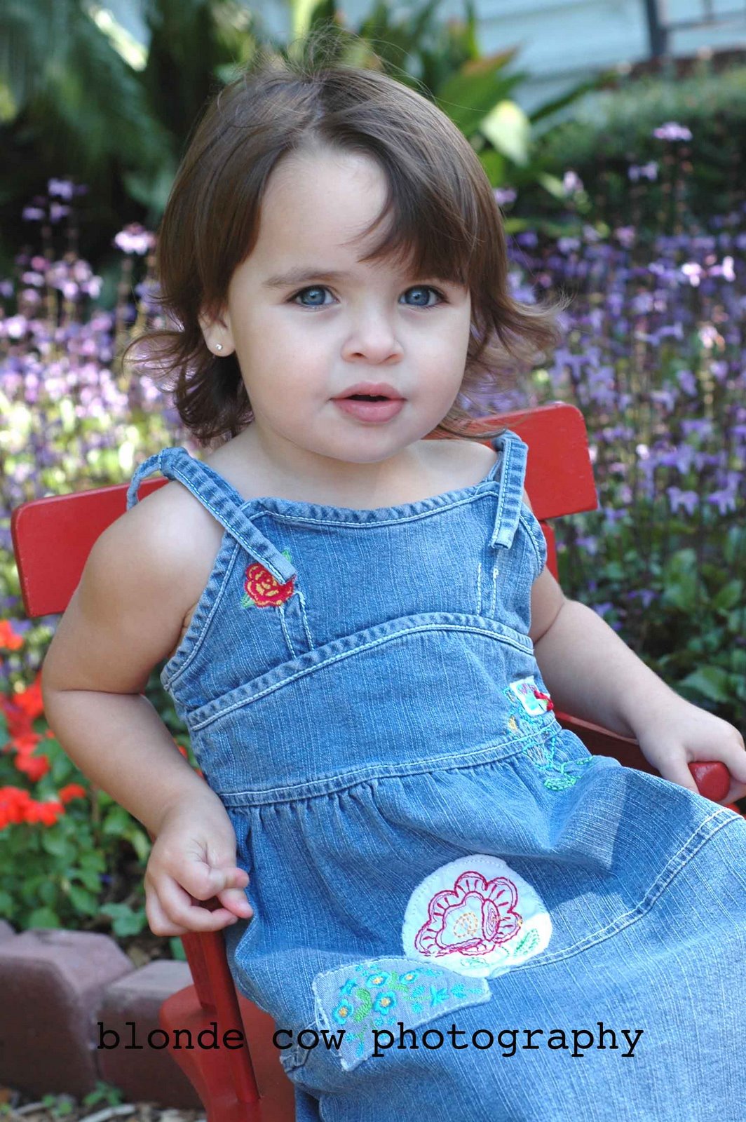 [NovemberShoots0248+copy.jpg]