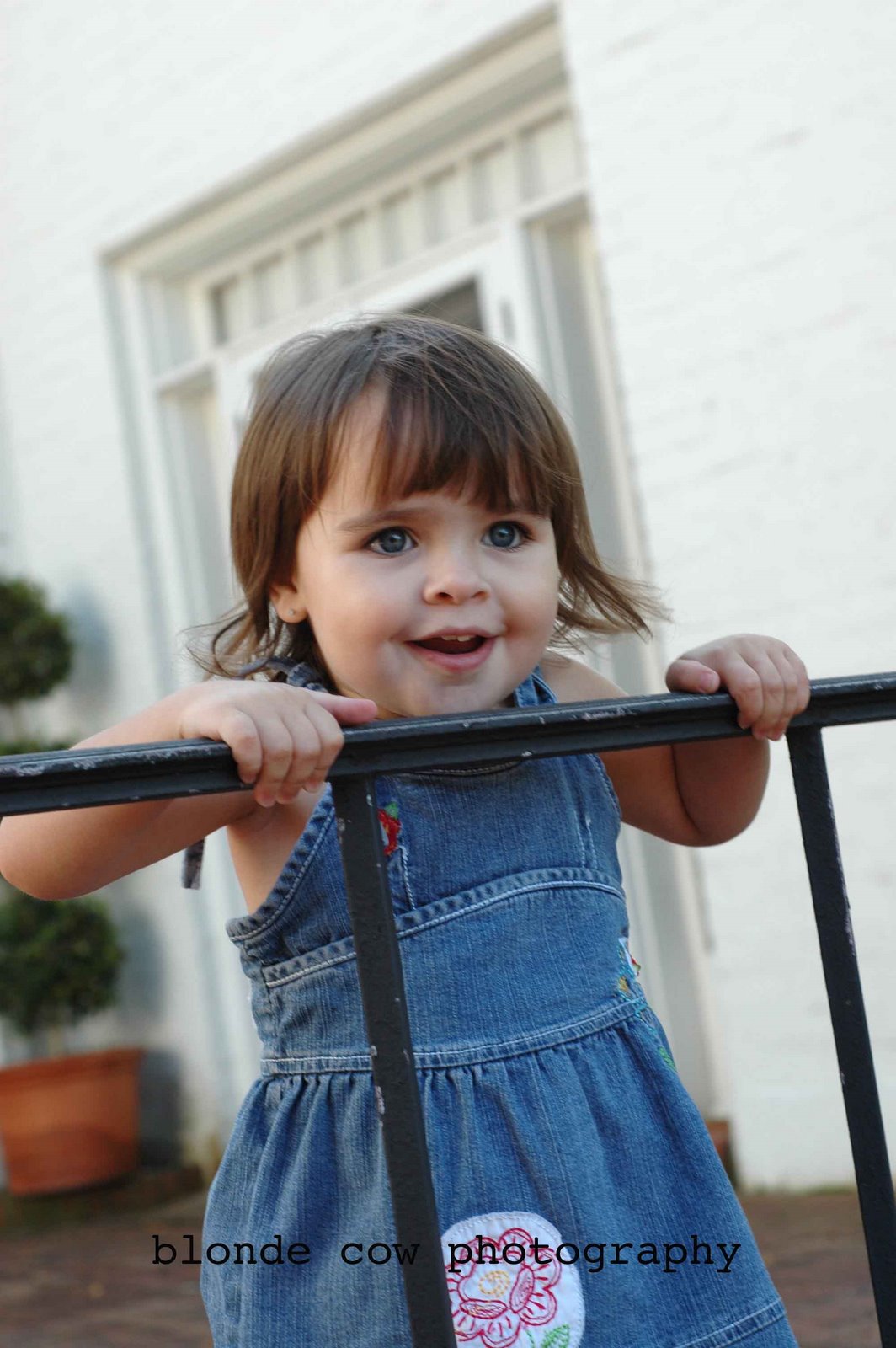 [NovemberShoots0236+copy.jpg]