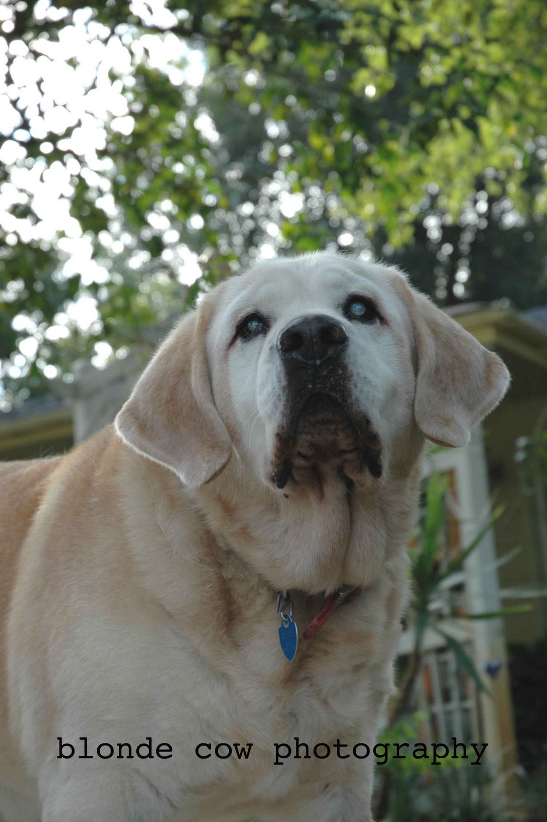 [NovemberShoots0444+copy.jpg]