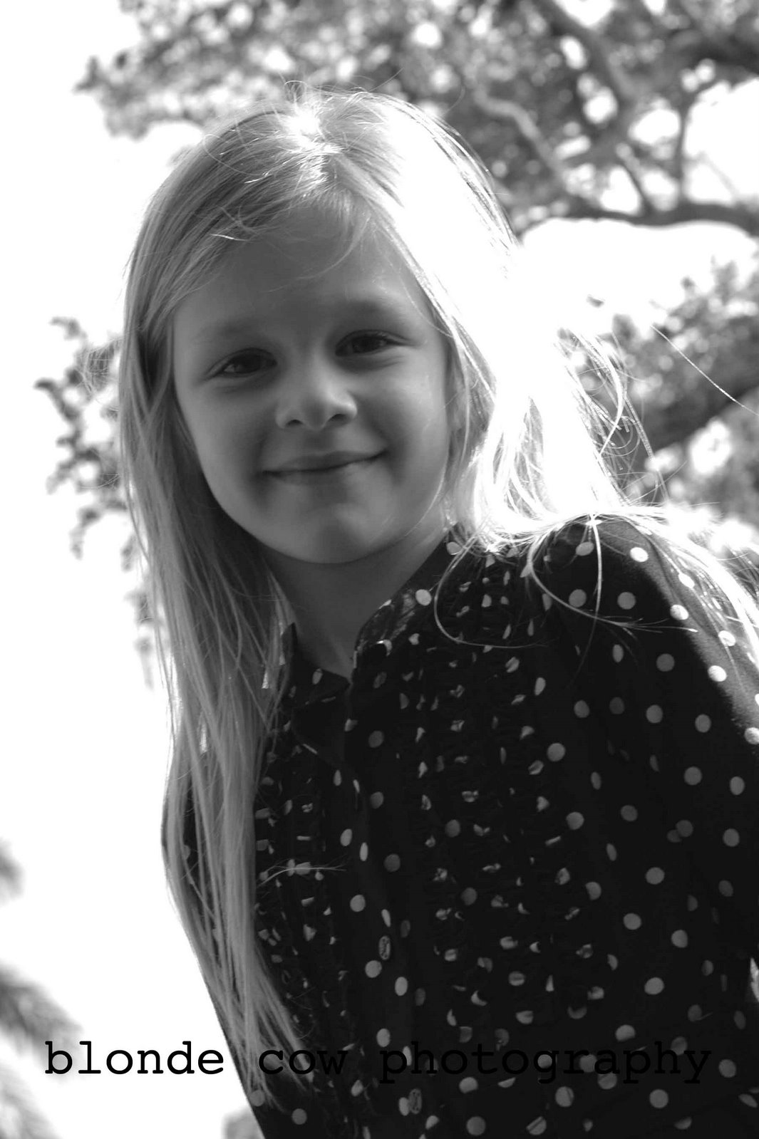 [Nagler0173+copy.jpg]