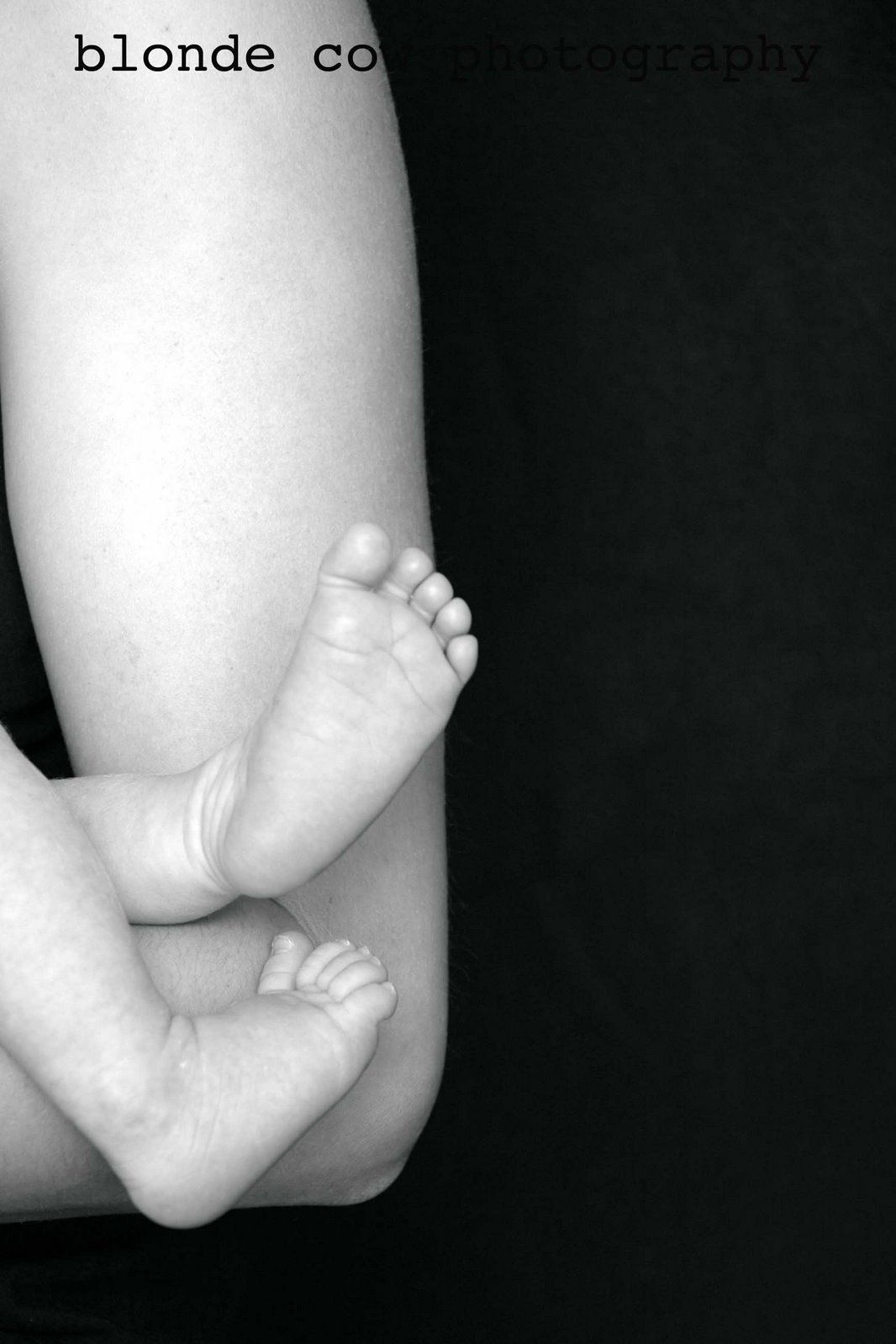 [Leahy+Family0506+copy.jpg]