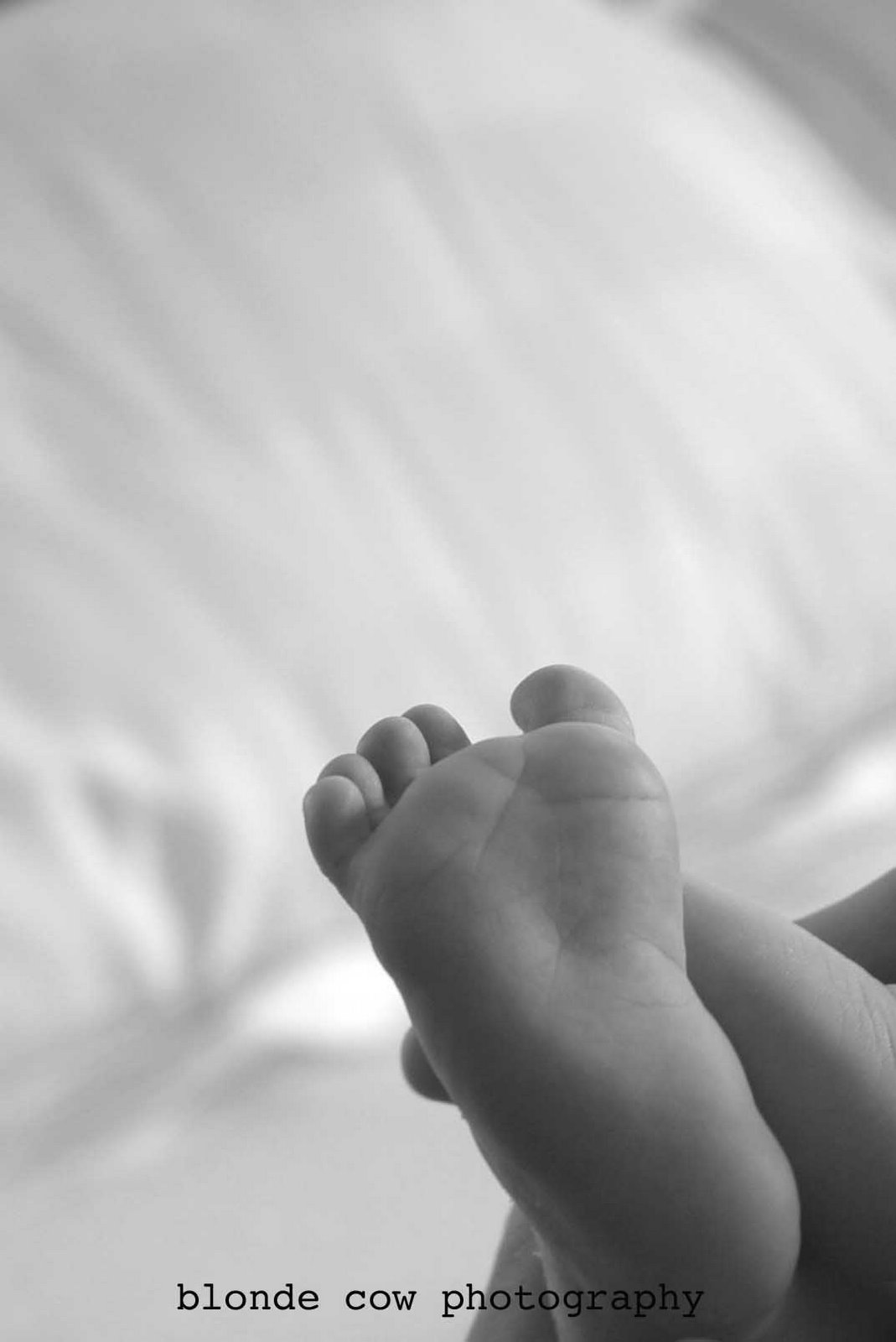 [Leahy+Family0657+copy.jpg]