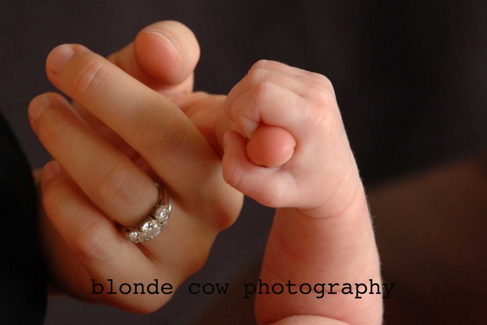 [Leahy+Family0625+copy.jpg]