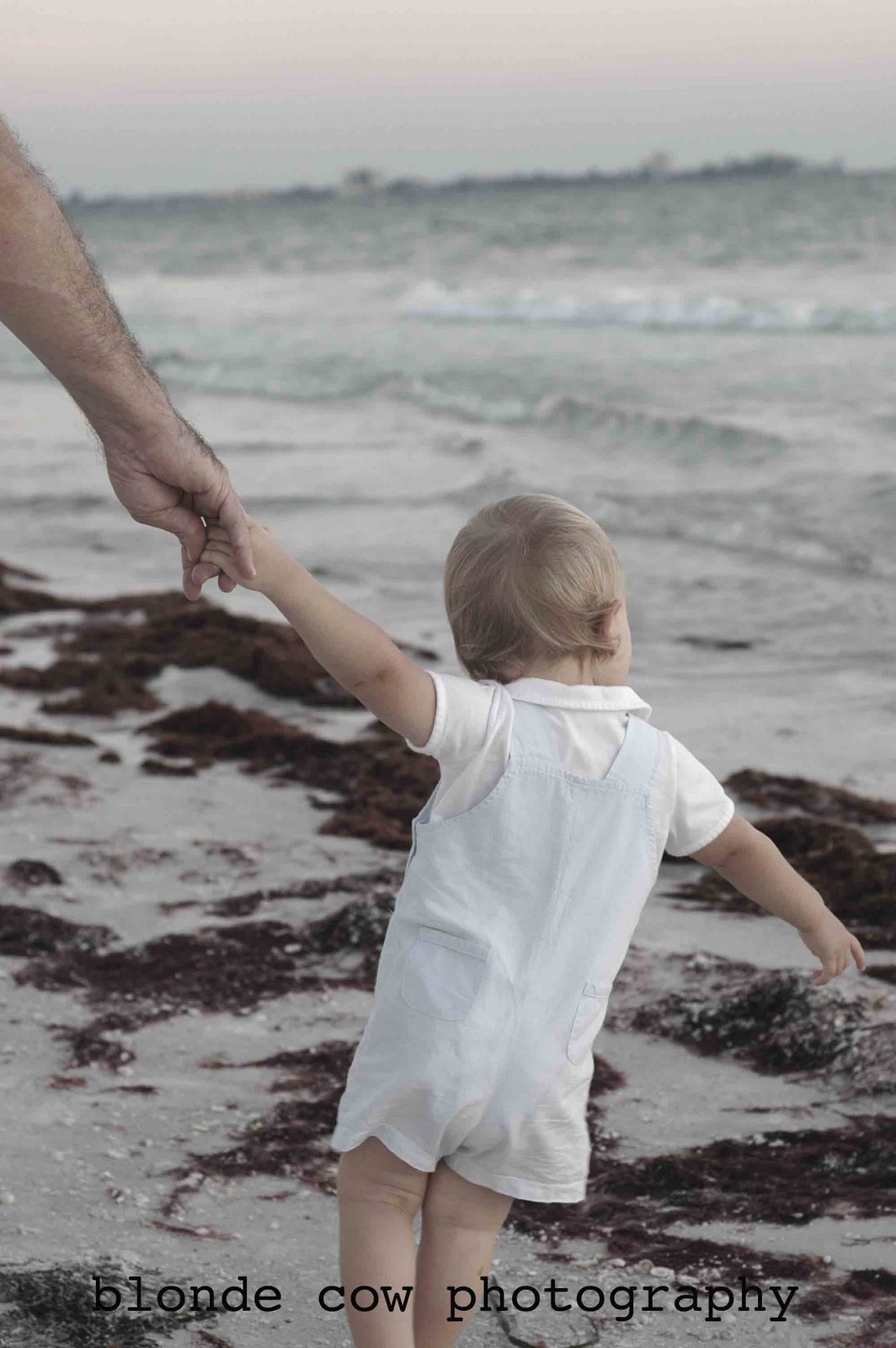 [EllerFamily0554+copy.jpg]