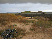 Back on the Beach. (yellowcraig )