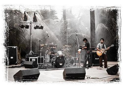 Avial Band