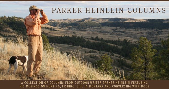 Parker Heinlein Columns