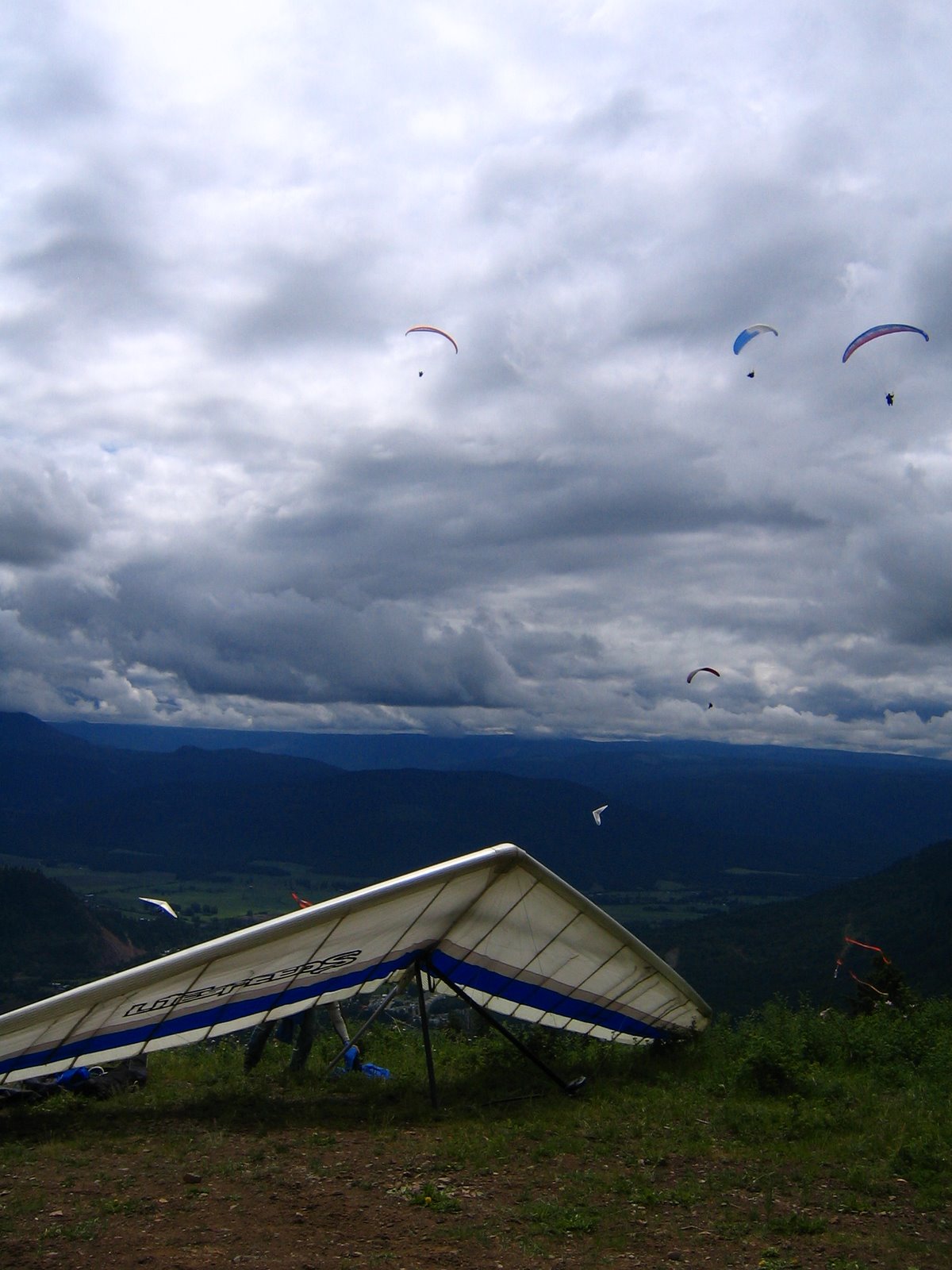 [IMG_0241.JPG]