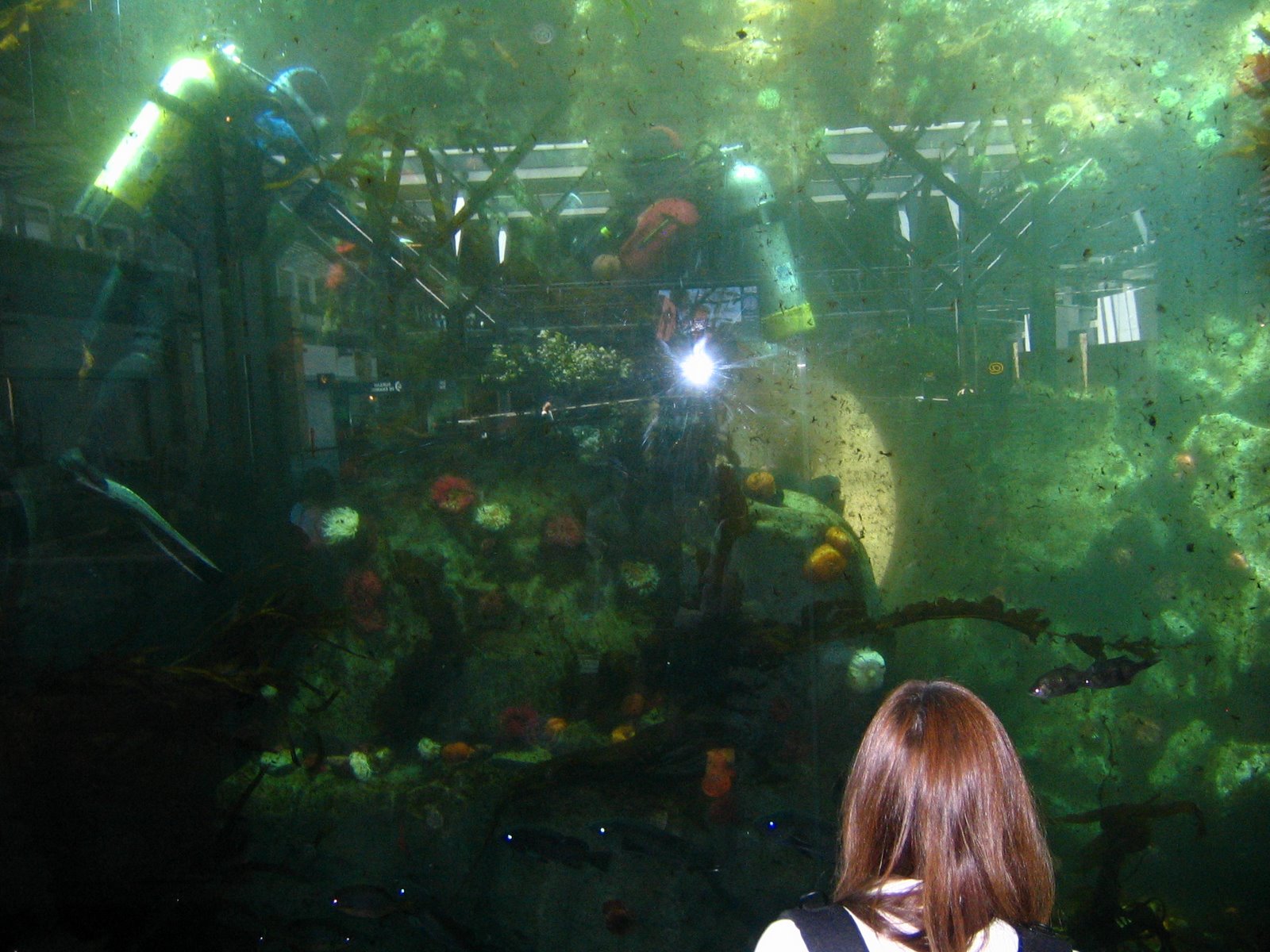 [IMG_0020.JPG]