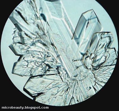 Giant Sugar Crystals