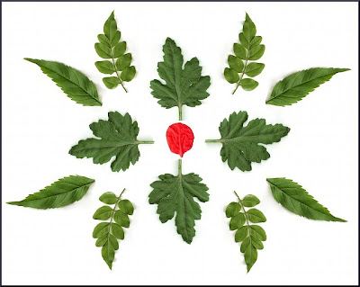 Flower Leaf Design