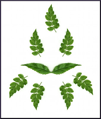 leaves design