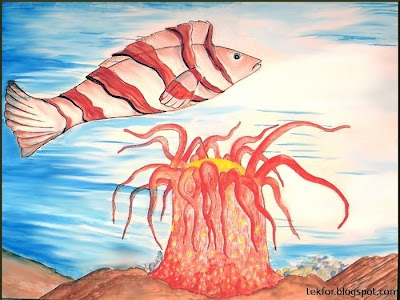 Fish and Sea Anemone.Watercolor painting.
