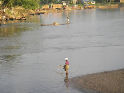 Mekong+dolphin+population
