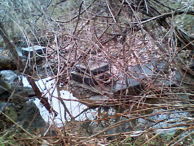 Better Picture of Old RR Quarry Bridge foundation, there are 8 or more