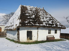 Casa lui Badea Cartan