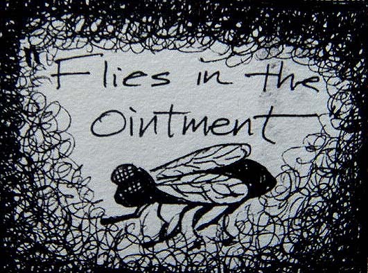 flies+in+the+ointment.jpg