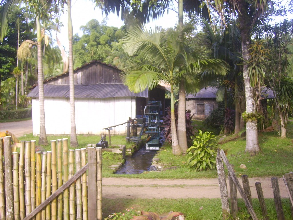 [IMG_0901.JPG]