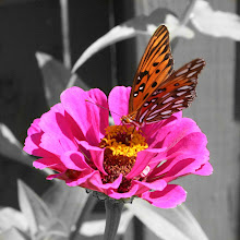 Beautiful...