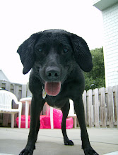 Lila at the Pool