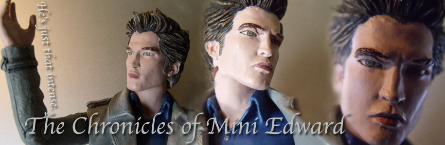 The Chronicles of Mini Edward