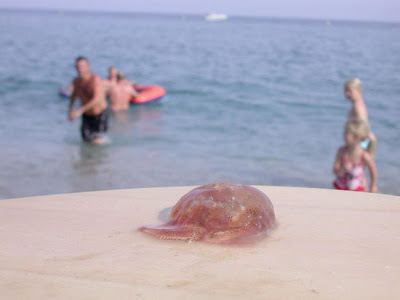 medusas