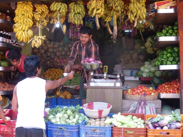 [IMGP0631.JPG]