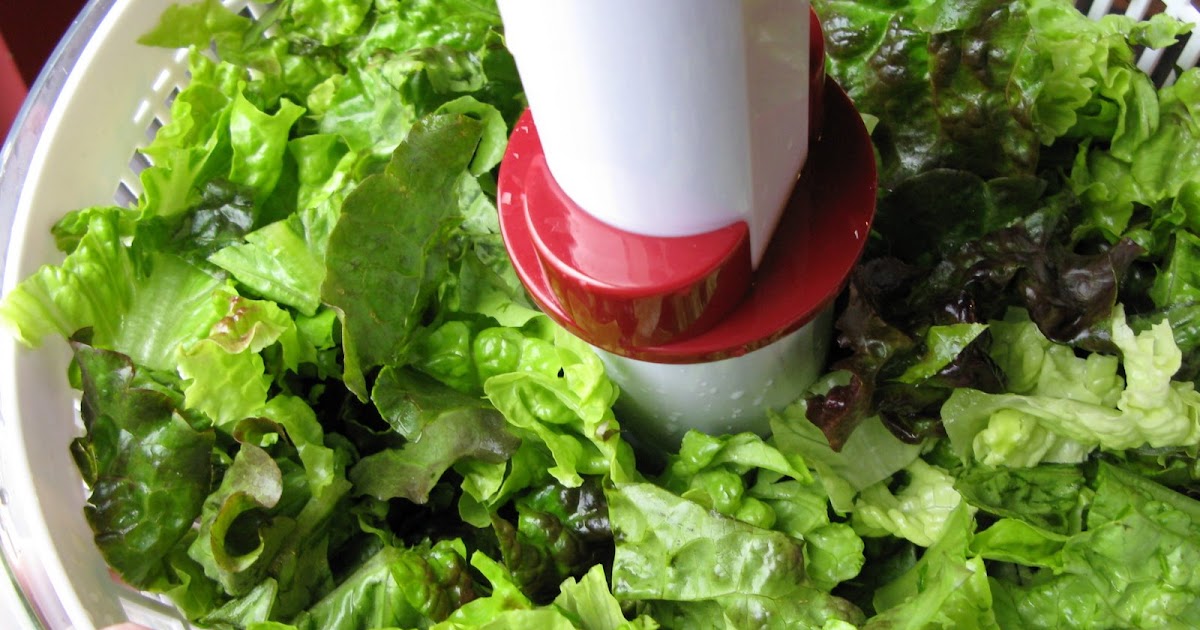 The BakeOff Flunkie Storing cut lettuce