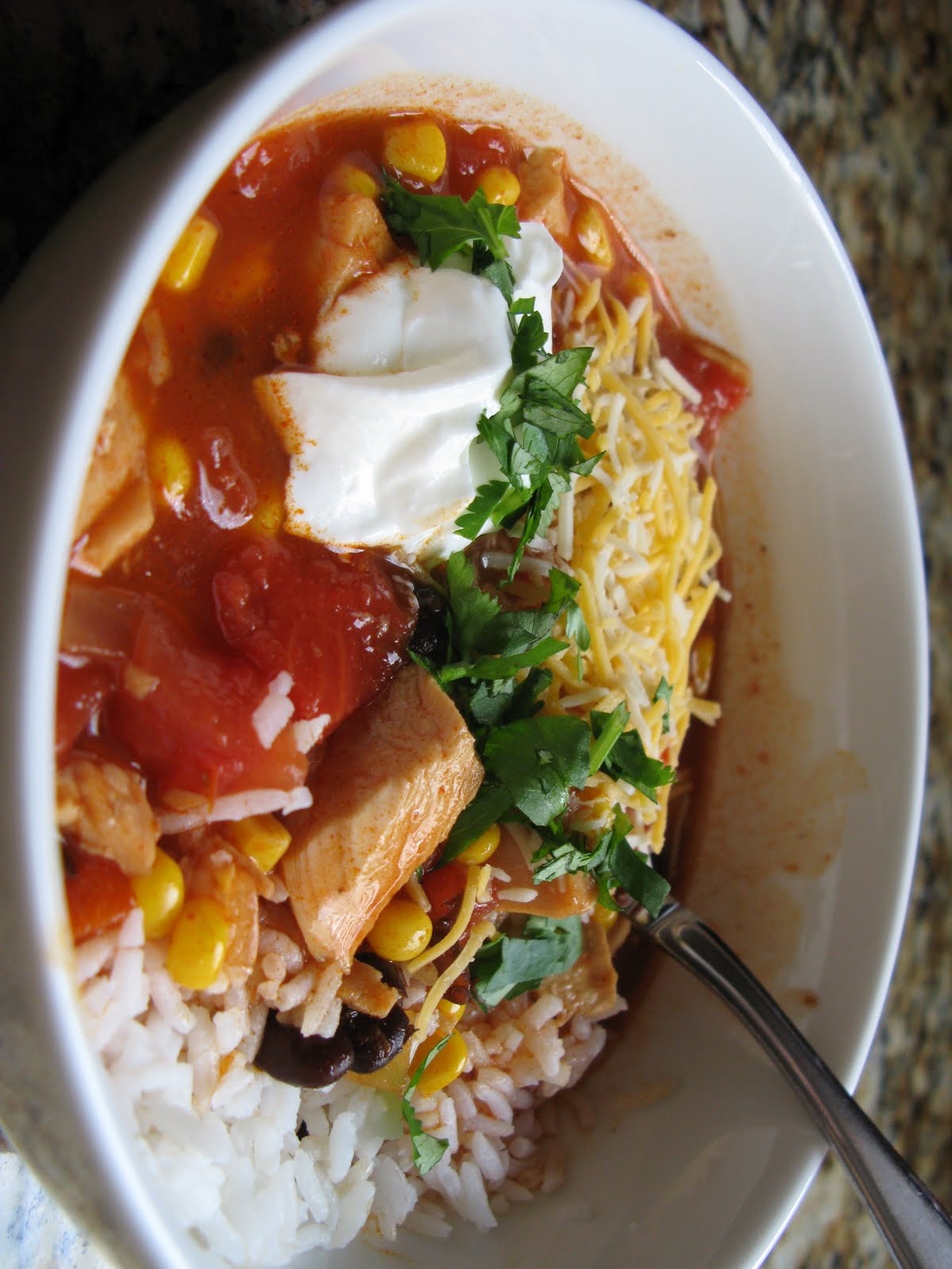 The BakeOff Flunkie Turkey Enchilada Soup