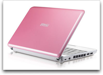 Pink MSI Wind Netbook 1