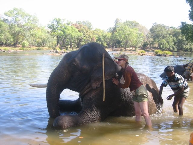 [trixie+elephant.jpg]