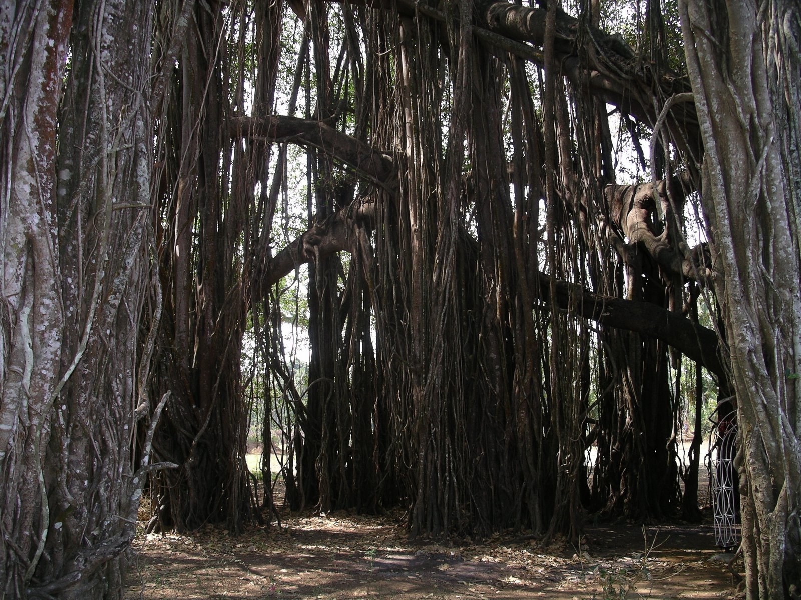 [trixie-arambol+118.jpg]