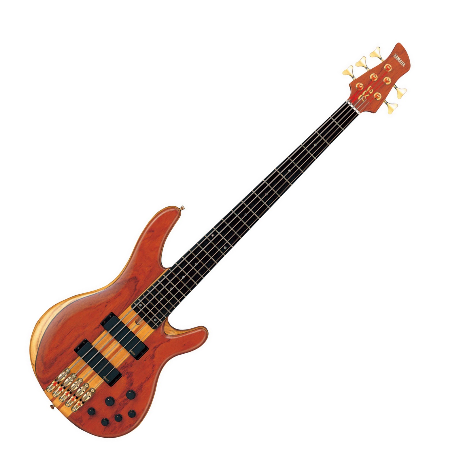 Bass Review For Bassist Yamaha TRB5PII 5 String Bass