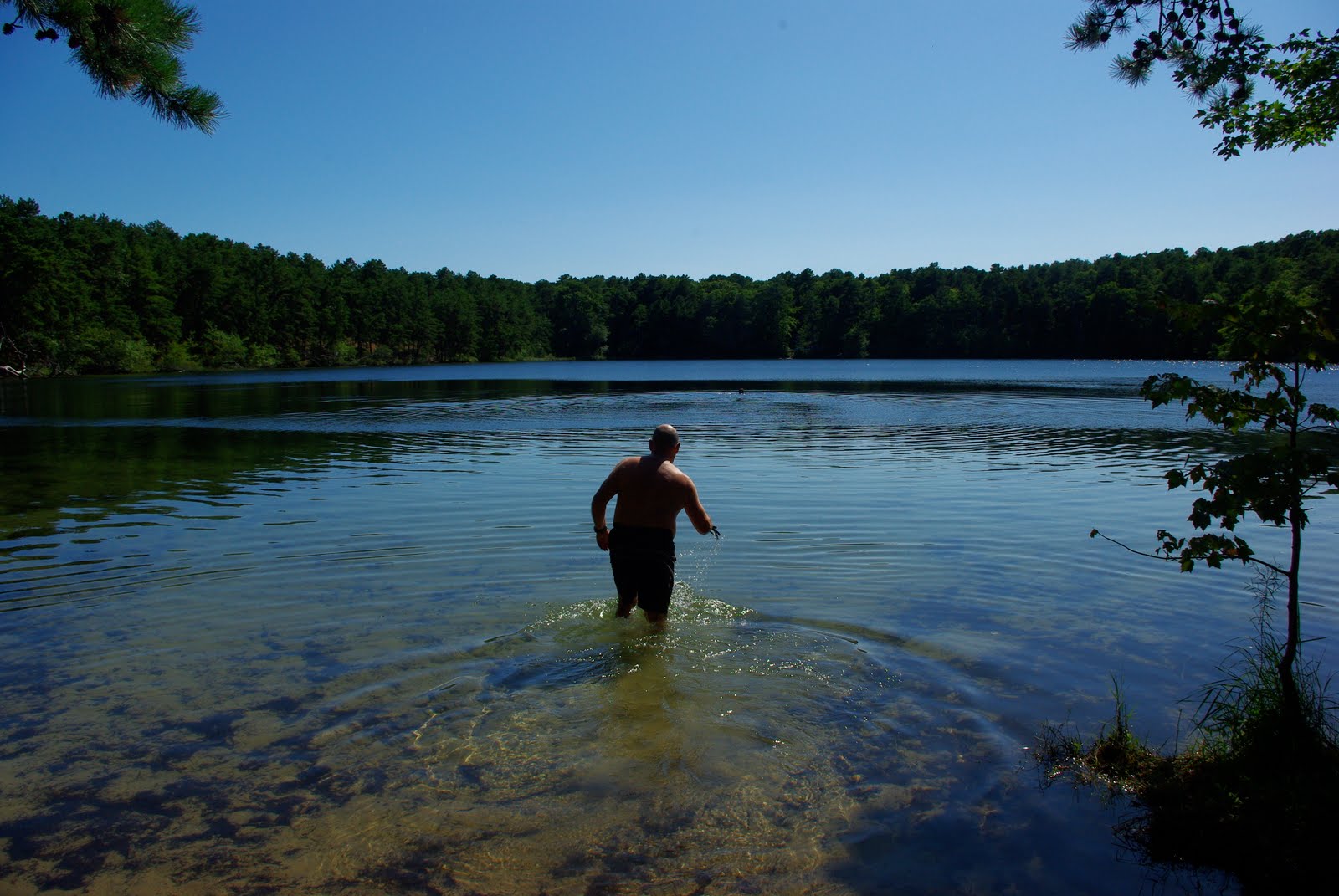Chezsven Blog Wellfleet Today Why Dyer Pond Remains So Special