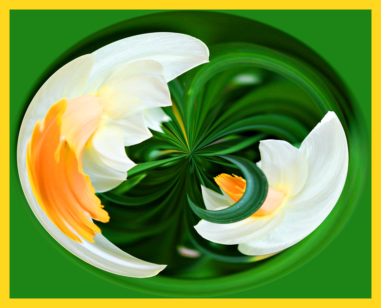[Waltz-of-the-Daffodils-copy.jpg]