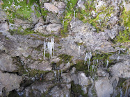 2008-03-13 Icicles