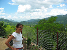 The View from La Orquidea