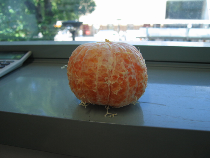 [IMG_1759.JPG]