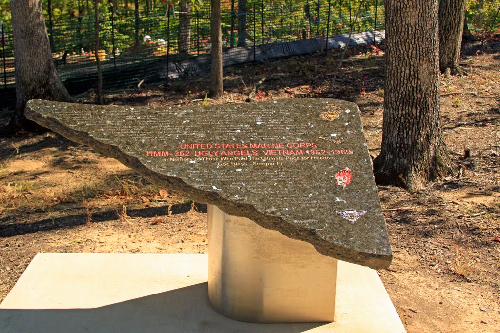 A Means To Heal Virginia VI