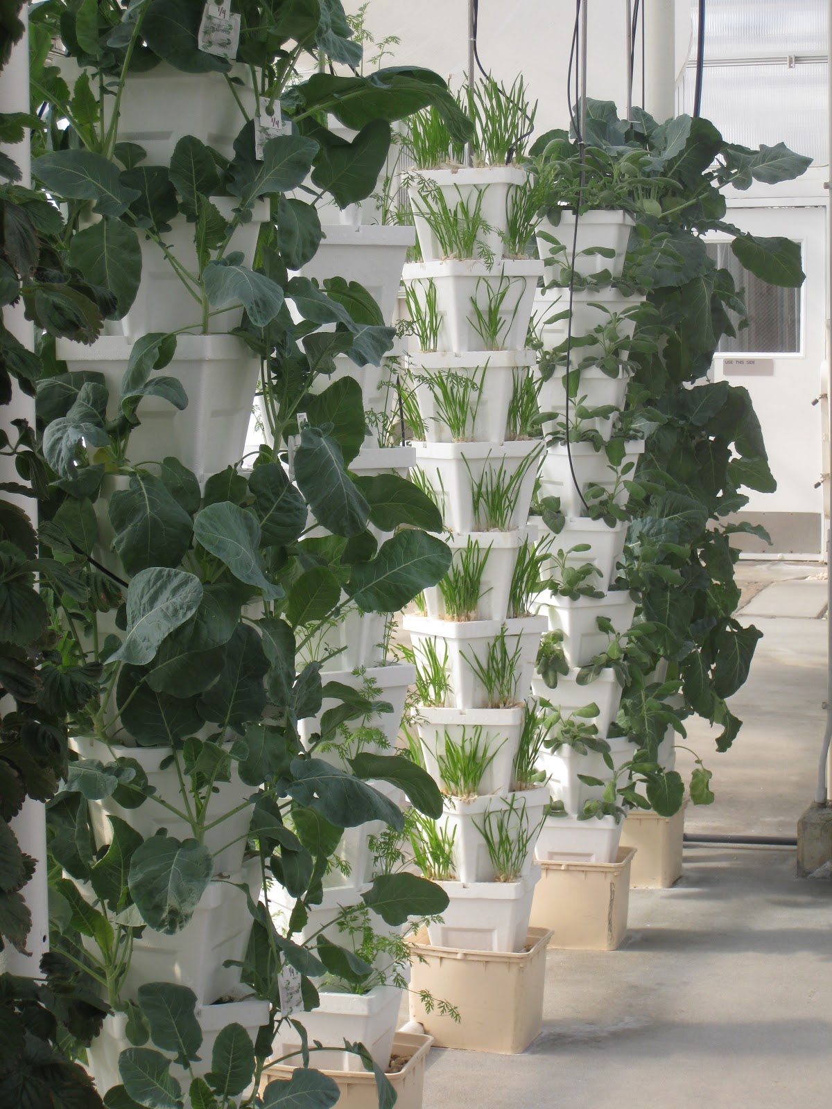 GreenSprouts: Vertical Container Gardening