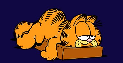 [garfield.bmp]