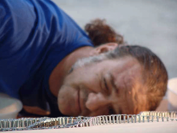 [pregos9.gif]