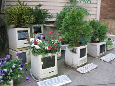 [recycle-computer.jpg]