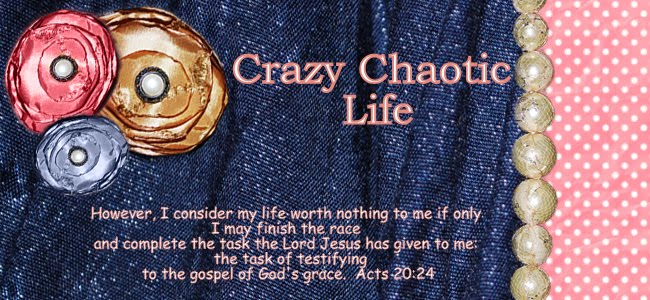 Crazy, Chaotic Life