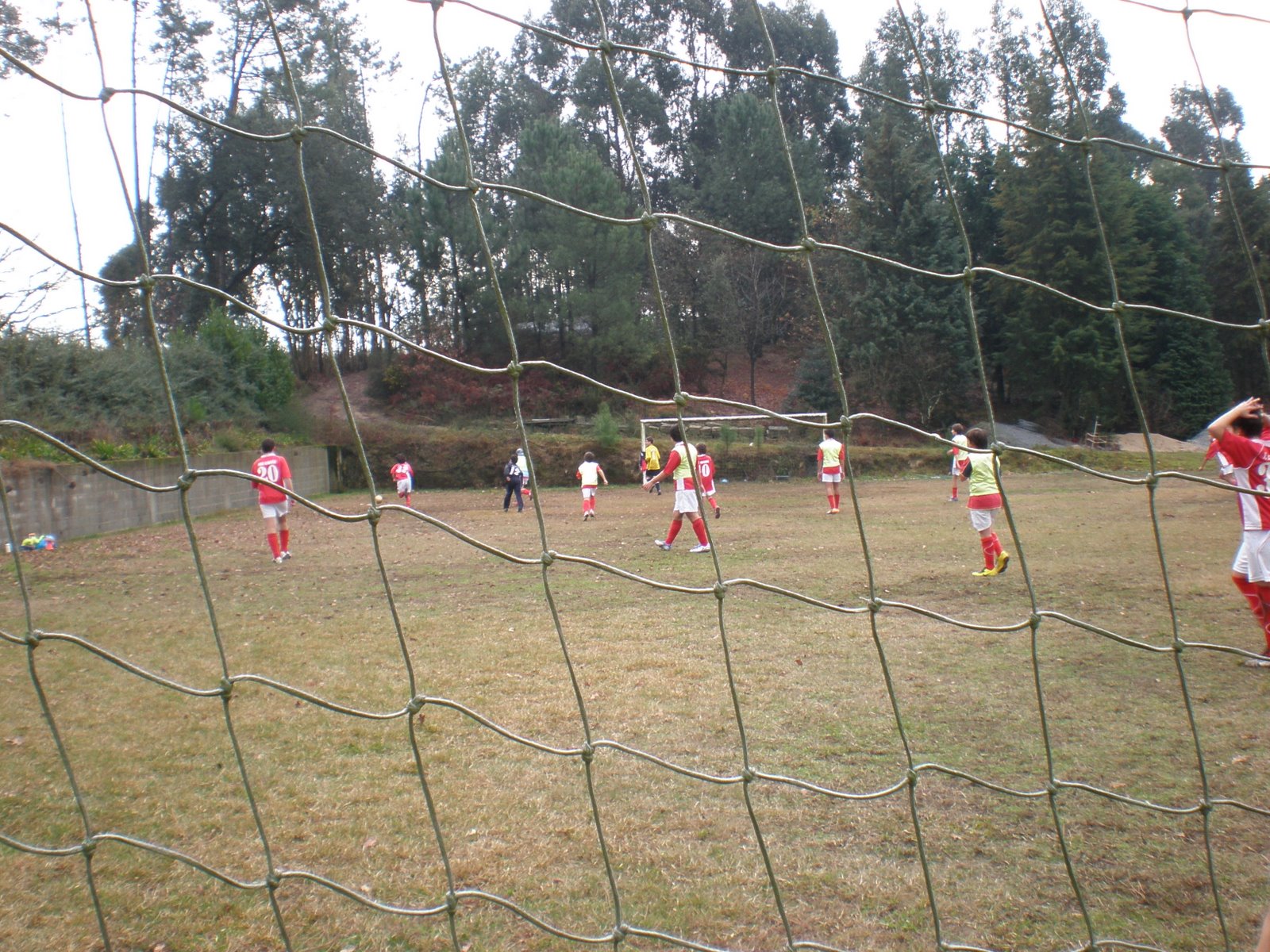 [P1130023.JPG]