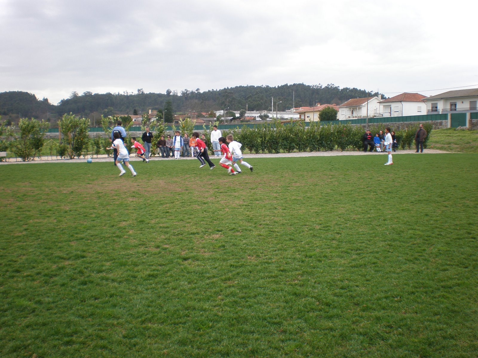 [P2240071.JPG]