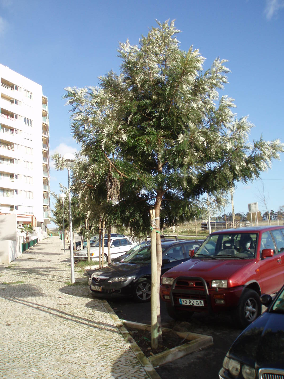 [PC090020.JPG]