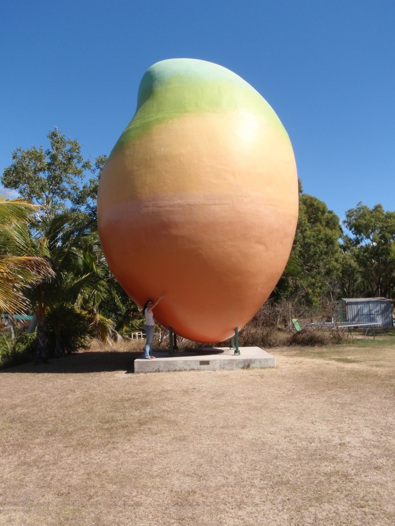[P7120138.JPG]