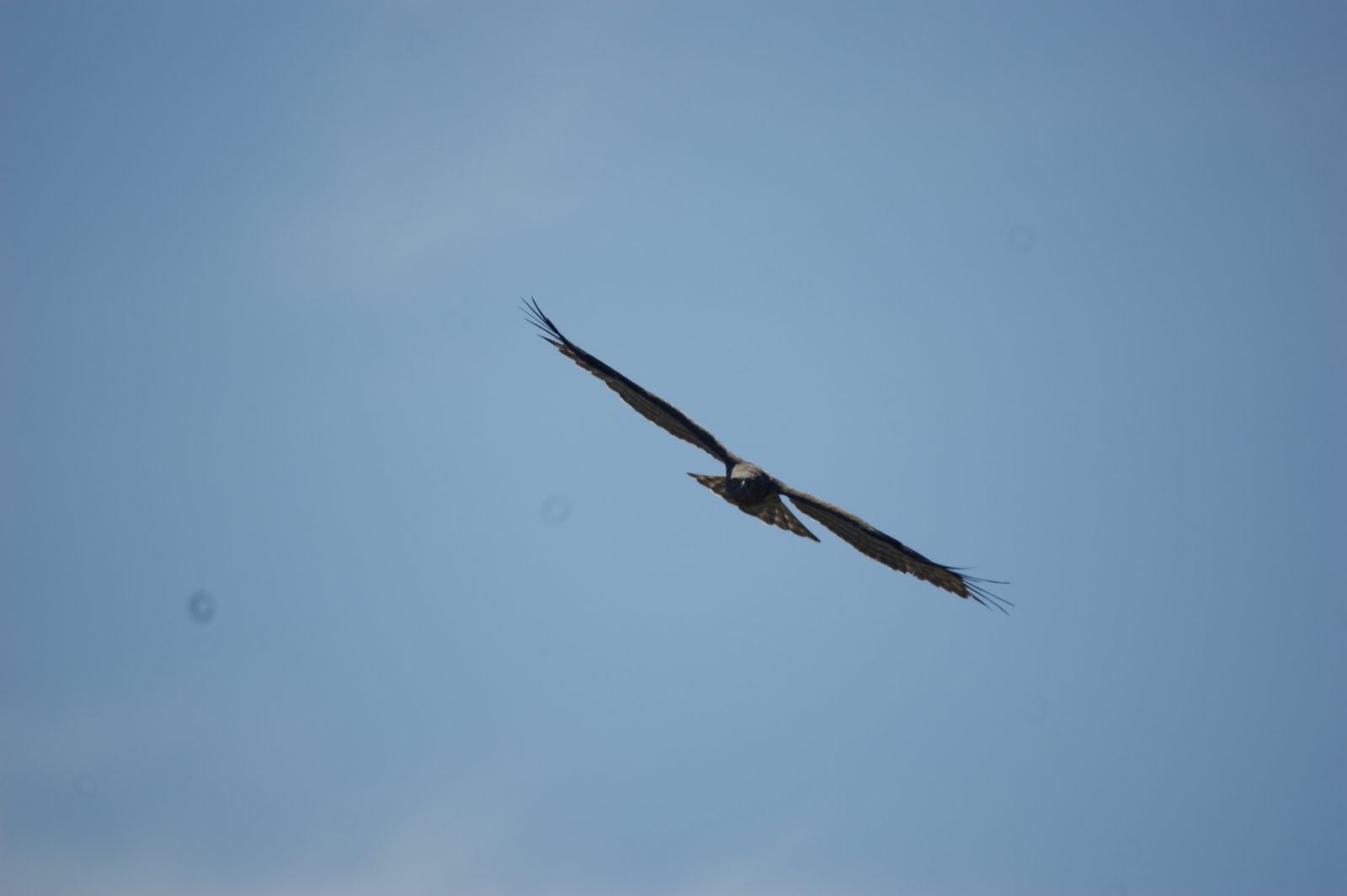 [DSC03228.JPG]