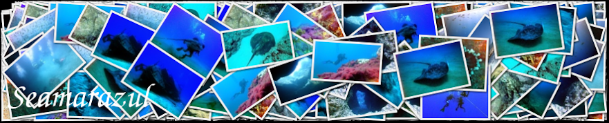 Seamarazul